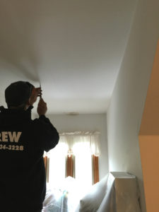 Animal Noise In Ceiling