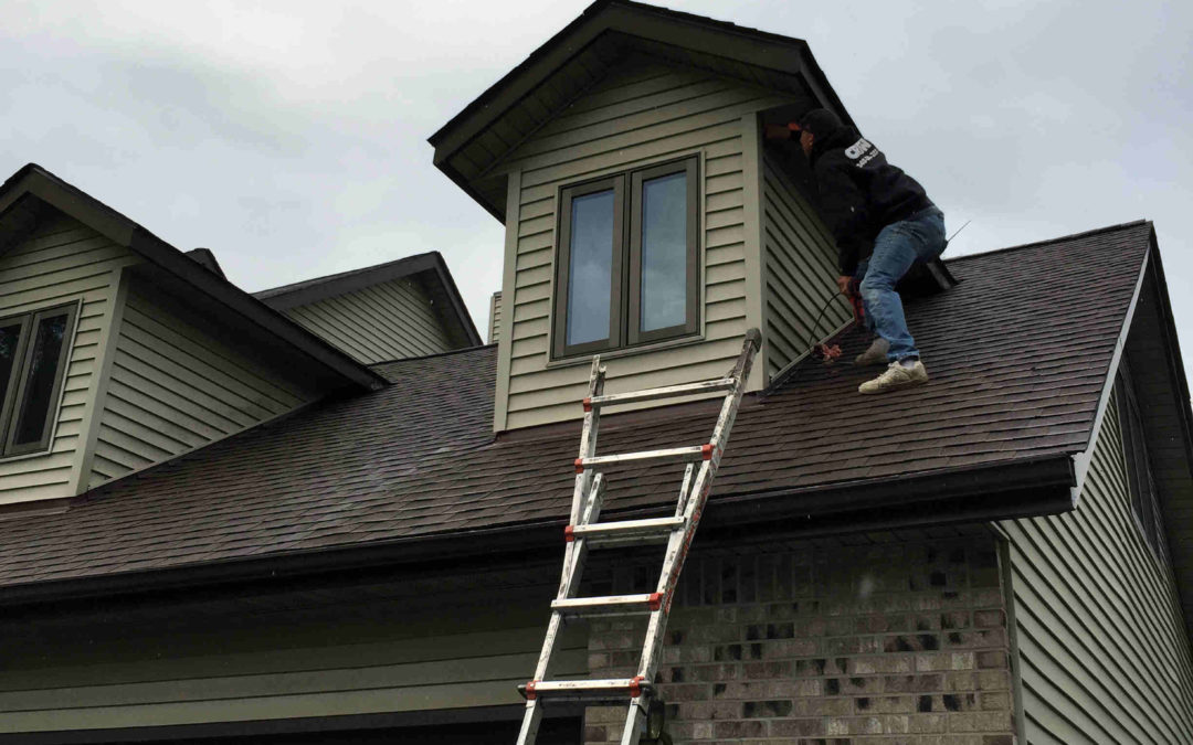 Bats In Attic Spaces – A Guide To How We Remove Them
