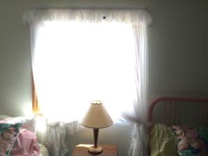 Bat Emergency Service