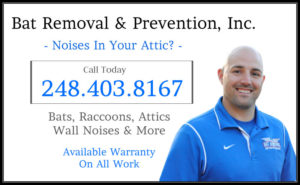 Michigan Bat Control