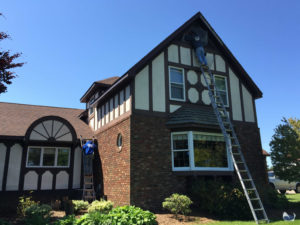 bat dropping clean up