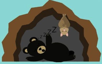 Bat hibernation