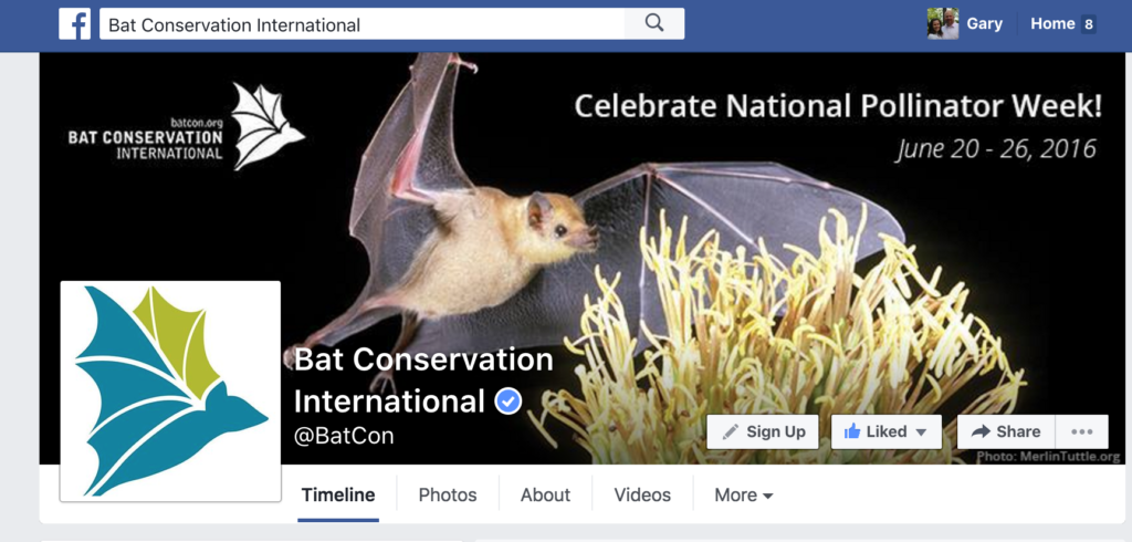 Bat Conservation International